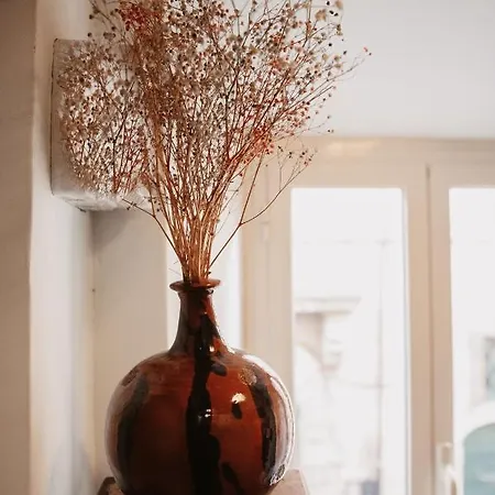 Palazzetto Pergi 招待所 4*