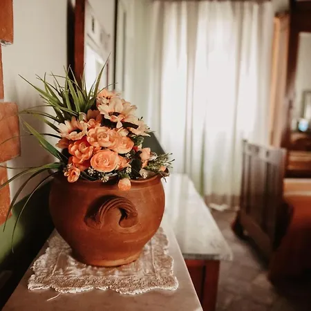 Palazzetto Pergi 托尔法